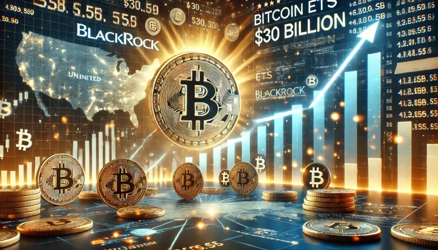 ETF de Bitcoin da BlackRock ultrapassa US$ 30 Bilhões: EUA pode atingir a 1 milhão de BTC em ETFs